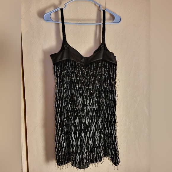 Anthropologie Sweetheart Fringe Shift Mini - Picture 7 of 10